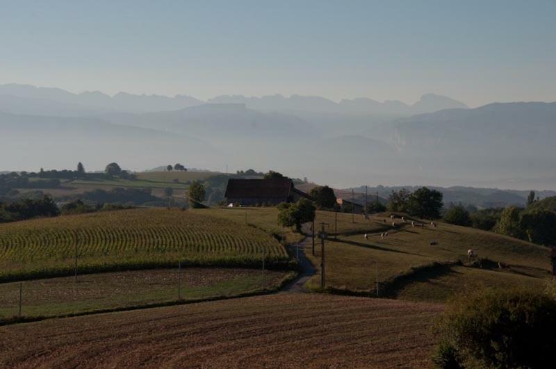 Gite La Grange Du Haut Saint-Antoine  Exterior foto